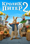 ������ ����� 2